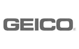 geico-ins-bw